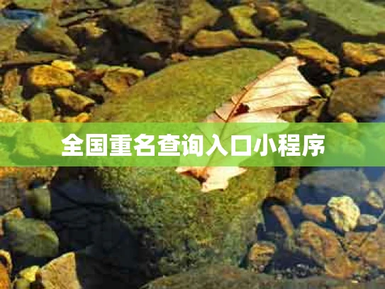 全国重名查询入口小程序