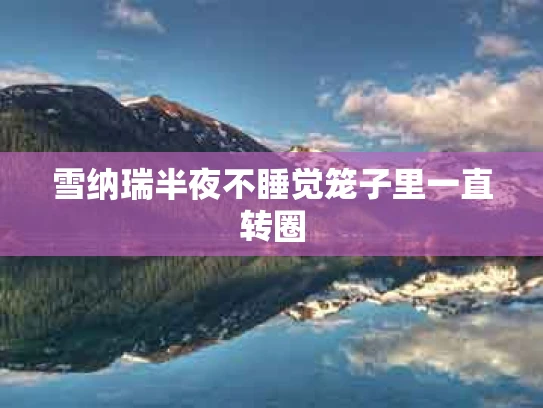 雪纳瑞半夜不睡觉笼子里一直转圈