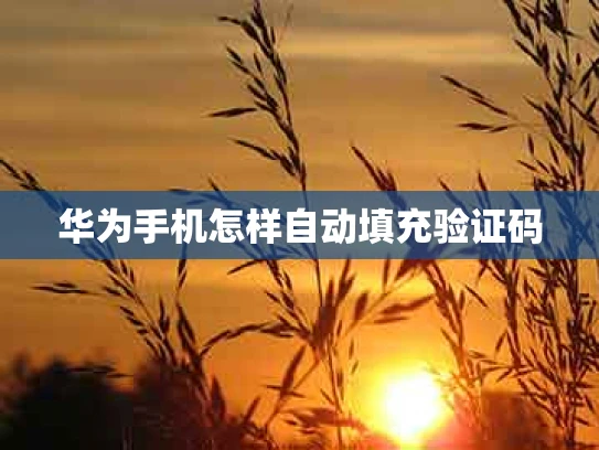 华为手机怎样自动填充验证码