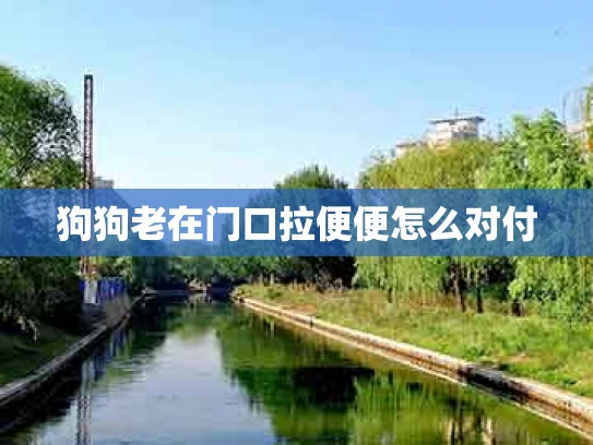 狗狗老在门口拉便便怎么对付