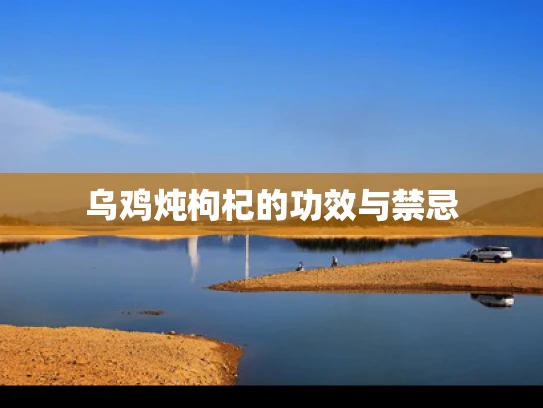 乌鸡炖枸杞的功效与禁忌