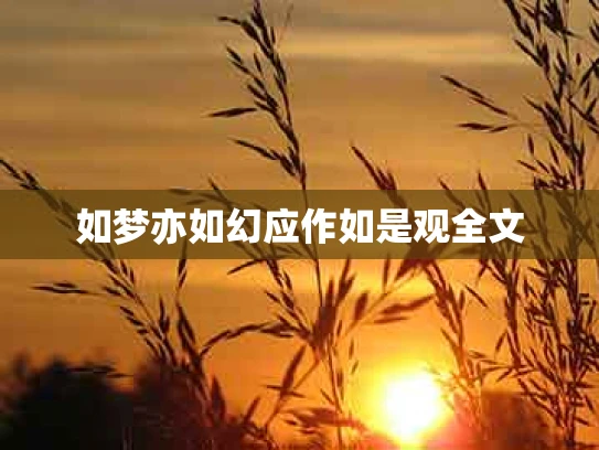 如梦亦如幻应作如是观全文