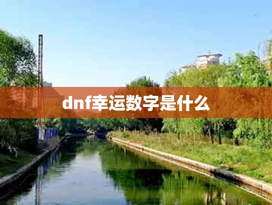 dnf幸运数字是什么