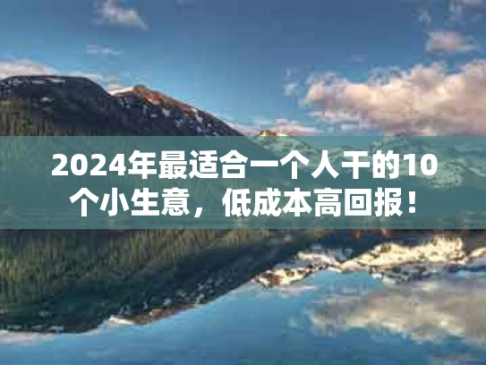 2024年最适合一个人干的10个小生意，低成本高回报！