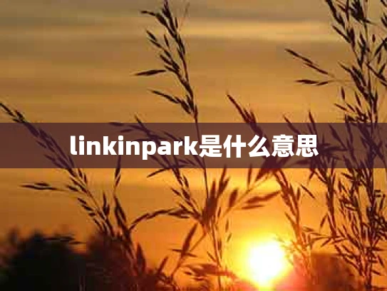 linkinpark是什么意思