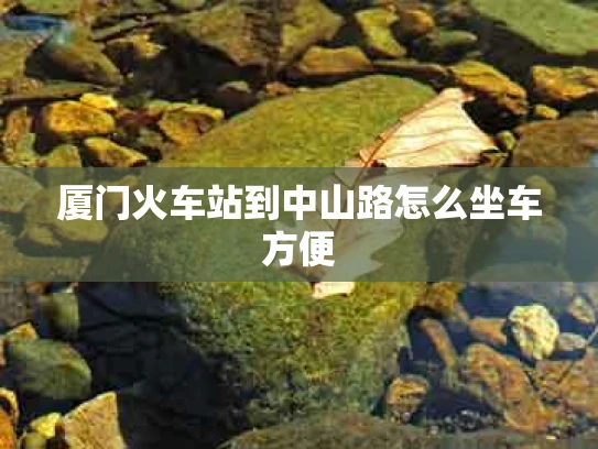厦门火车站到中山路怎么坐车方便
