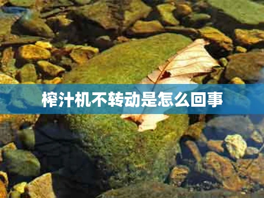 榨汁机不转动是怎么回事