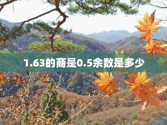1.63的商是0.5余数是多少