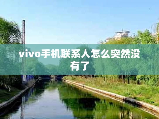 vivo手机联系人怎么突然没有了