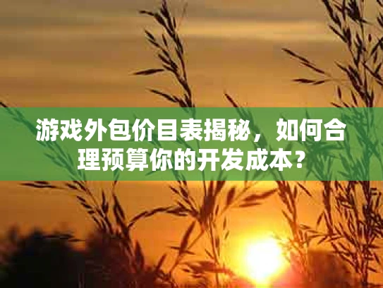 游戏外包价目表揭秘，如何合理预算你的开发成本？