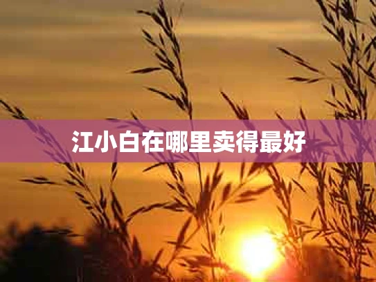 江小白在哪里卖得最好