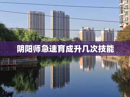 阴阳师急速育成升几次技能