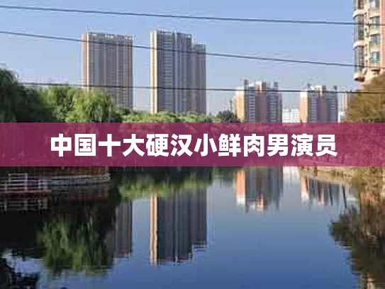 中国十大硬汉小鲜肉男演员