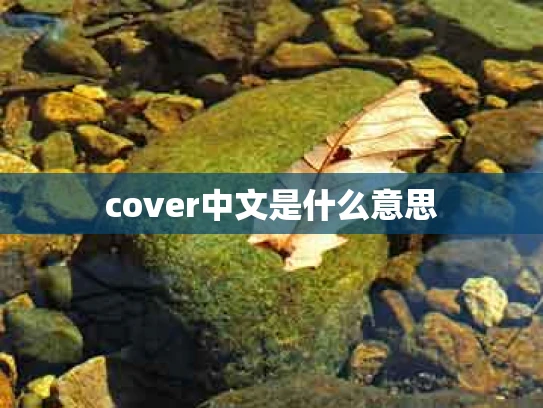 cover中文是什么意思
