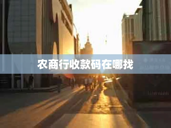农商行收款码在哪找