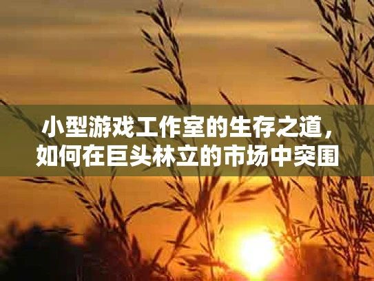 小型游戏工作室的生存之道，如何在巨头林立的市场中突围？
