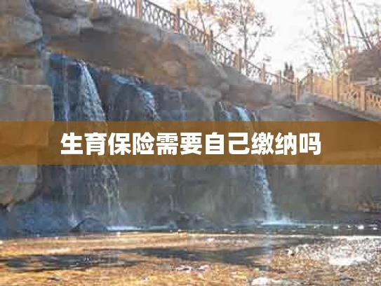生育保险需要自己缴纳吗