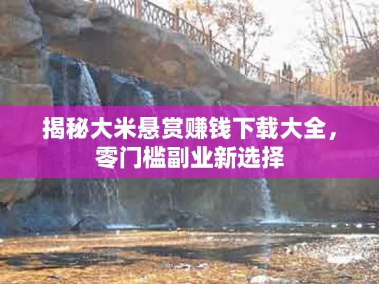 揭秘大米悬赏赚钱下载大全，零门槛副业新选择