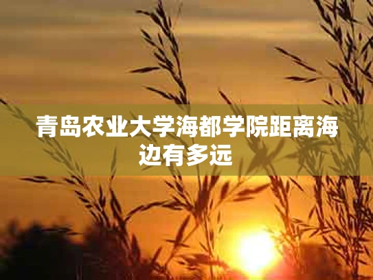 青岛农业大学海都学院距离海边有多远