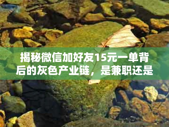 揭秘微信加好友15元一单背后的灰色产业链，是兼职还是骗局？