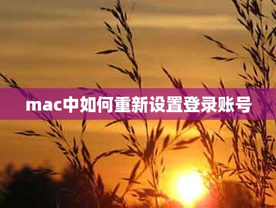 mac中如何重新设置登录账号