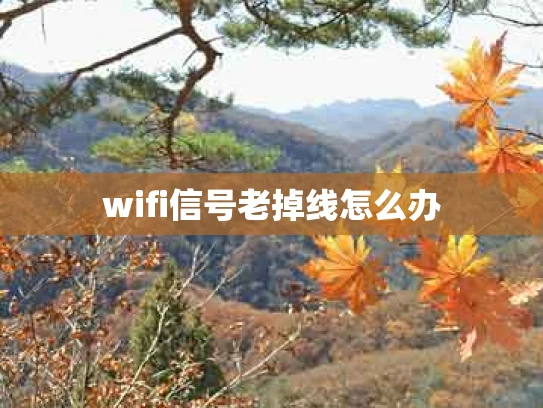 wifi信号老掉线怎么办