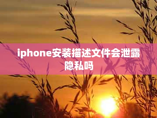 iphone安装描述文件会泄露隐私吗