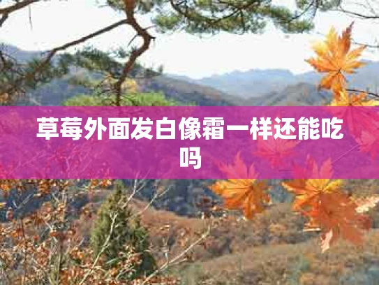 草莓外面发白像霜一样还能吃吗