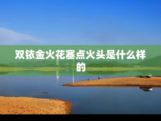 双铱金火花塞点火头是什么样的