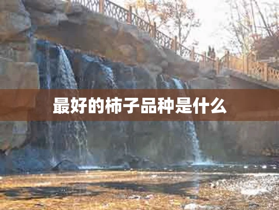 最好的柿子品种是什么