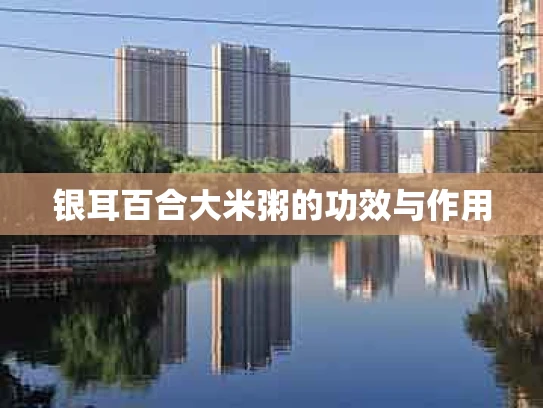 银耳百合大米粥的功效与作用