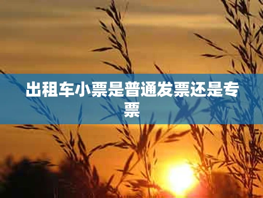 出租车小票是普通发票还是专票
