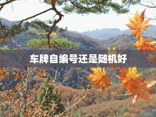 车牌自编号还是随机好