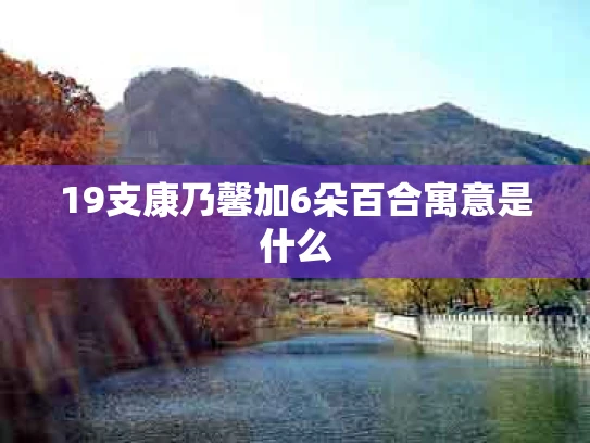 19支康乃馨加6朵百合寓意是什么
