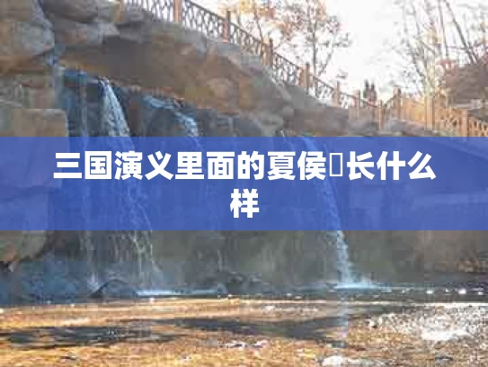 三国演义里面的夏侯惇长什么样