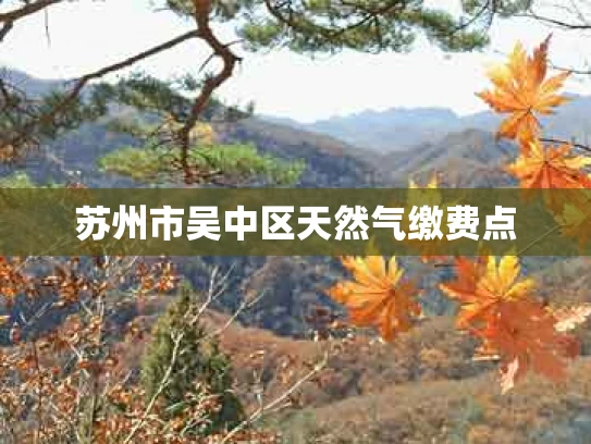 苏州市吴中区天然气缴费点