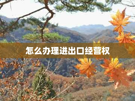 怎么办理进出口经营权