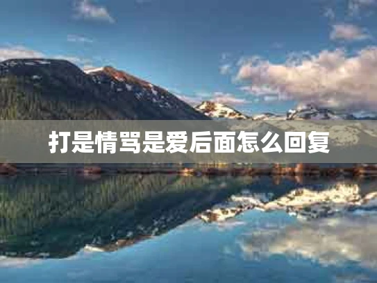 打是情骂是爱后面怎么回复