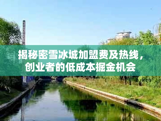 揭秘密雪冰城加盟费及热线，创业者的低成本掘金机会