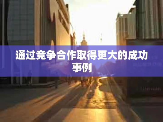 通过竞争合作取得更大的成功事例