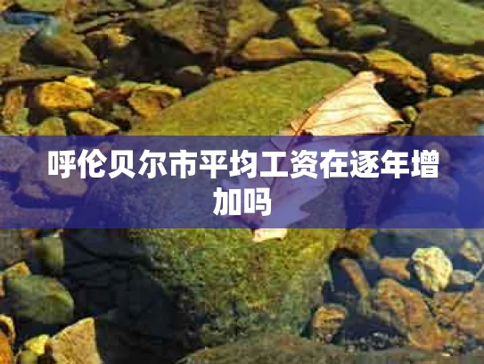 呼伦贝尔市平均工资在逐年增加吗