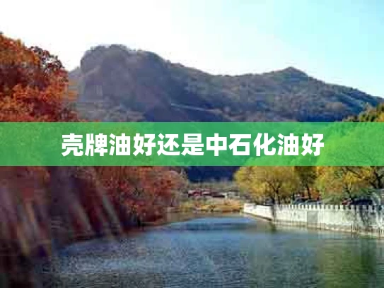 壳牌油好还是中石化油好