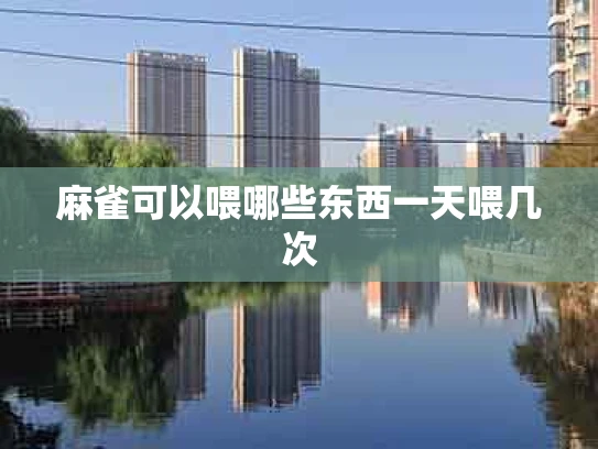麻雀可以喂哪些东西一天喂几次