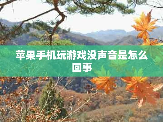 苹果手机玩游戏没声音是怎么回事