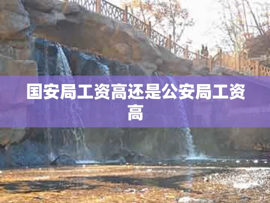 国安局工资高还是公安局工资高