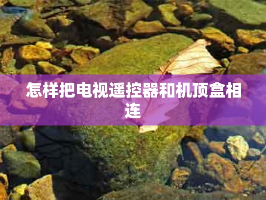 怎样把电视遥控器和机顶盒相连