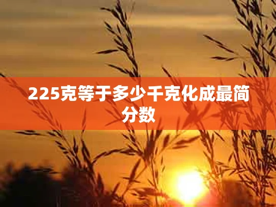 225克等于多少千克化成最简分数