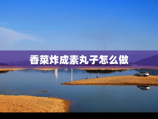 香菜炸成素丸子怎么做