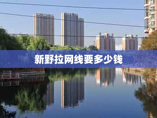 新野拉网线要多少钱