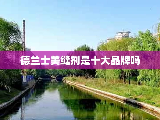 德兰士美缝剂是十大品牌吗